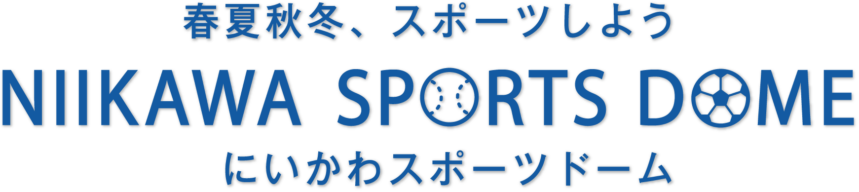 フットサル 野球コート　にいかわスポーツドーム